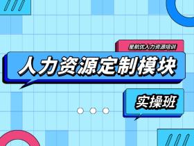 人力资源定制模块实操班
